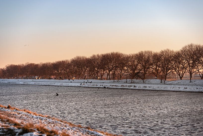 Birds in the snow along the canal through Walcheren by Percy's fotografie