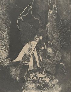 Karol Hiller – Heliografische Komposition (XLVI)