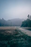 Betoverend mist