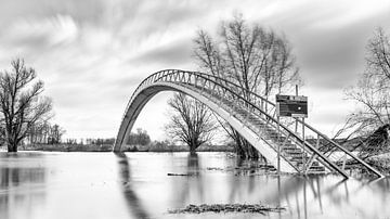 Nijmegen Hochwasser #1 von Lex Schulte