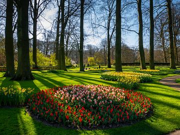 Tulips in the Keukenhof by Matthijs Noordeloos