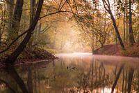 Silence