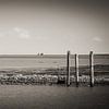 Nordseeküste / Ostfriesland (Schwarzweiss) von Alexander Voss