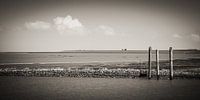 Nordseeküste / Ostfriesland (Schwarzweiss)