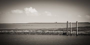 North Sea Coast / East Frisia (Black and White) by Alexander Voss
