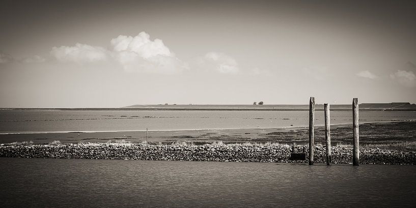 Côte de la mer du Nord / Frise orientale (noir et blanc) par Alexander Voss