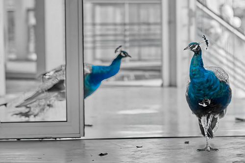 Falsche Zeichen am richtigen Ort