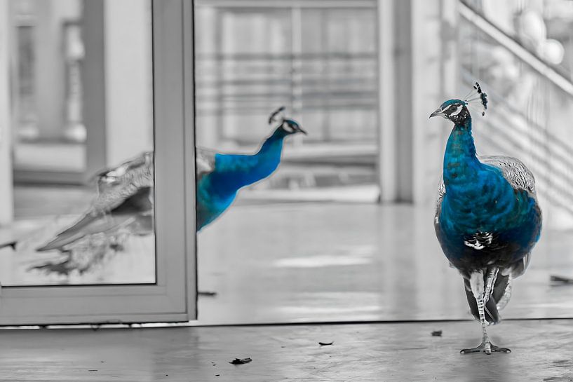 Des signes erronés au bon endroit par Rajesh Narayanan