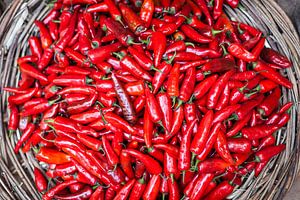 Rode chilipepers
