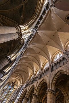 Basilique de Tongres sur Rob Boon