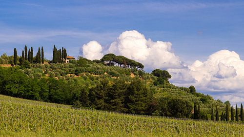 Toscaans landschap met cipressen en parasoldennen, Italië van Adelheid Smitt