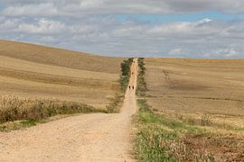 Le long chemin de Saint-Jacques de Compostelle sur Maarten Hoek