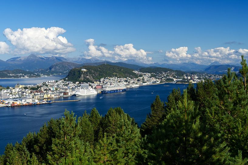 Alesund Harbour from Sukkertoppen Mountain by Anja B. Schäfer