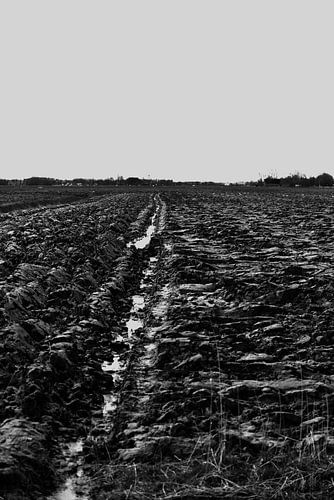 2018 art 44 Friesland Beetgumermolen