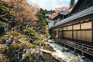 Tempel in Mr. Koya, Japan von Expeditie Aardbol