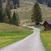 Bergidylle : cabane au bord de la route dans le Brandnertal, Autriche sur Joy Mennings