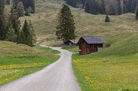 Bergidylle: hutje aan de weg in Brandnertal, Oostenrijk