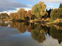 Herfst spiegel