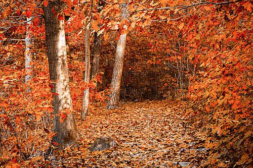 Het vallen van het blad ......
