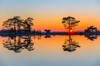 Un magnifique coucher de soleil à Dwingelderveld