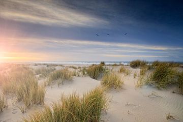 sunset on the coast of the Netherlands by gaps photography