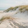 Die Nordsee mit dem Strand und den Dünen. von J.a Dijkstra