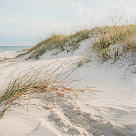 The North Sea, with the beach and the edge of the dunes. by J.a Dijkstra