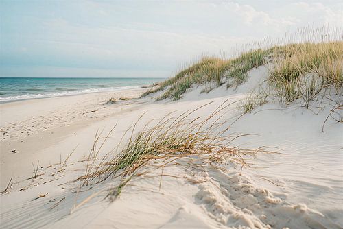 La mer du Nord, avec la plage et les dunes. sur J.a Dijkstra