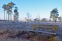 Bankje bij Radio Kootwijk