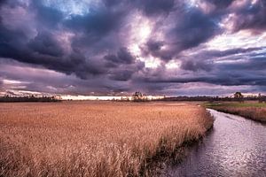 Dunkle Wolken ziehen über Drente auf