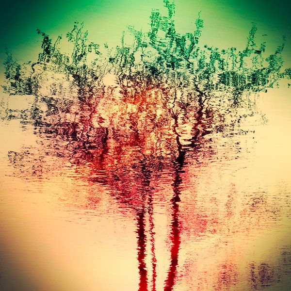 Summer reflection par Carla Vermeend