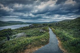 Painting Look - Glenveagh National Park Hiking Trail by Martin Diebel