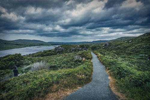 Paint Look - sentier de randonnée dans le parc national de Glenveagh