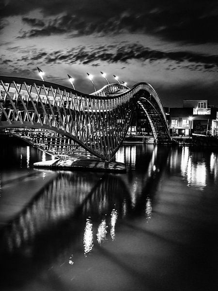 Bewegingen van een python in zwart-wit van Eddy Westdijk