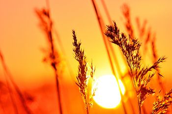 Achterhoekse zonsondergang bij de Oude IJssel