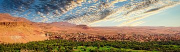 Oasis dans le désert, le Maroc sur Rietje Bulthuis