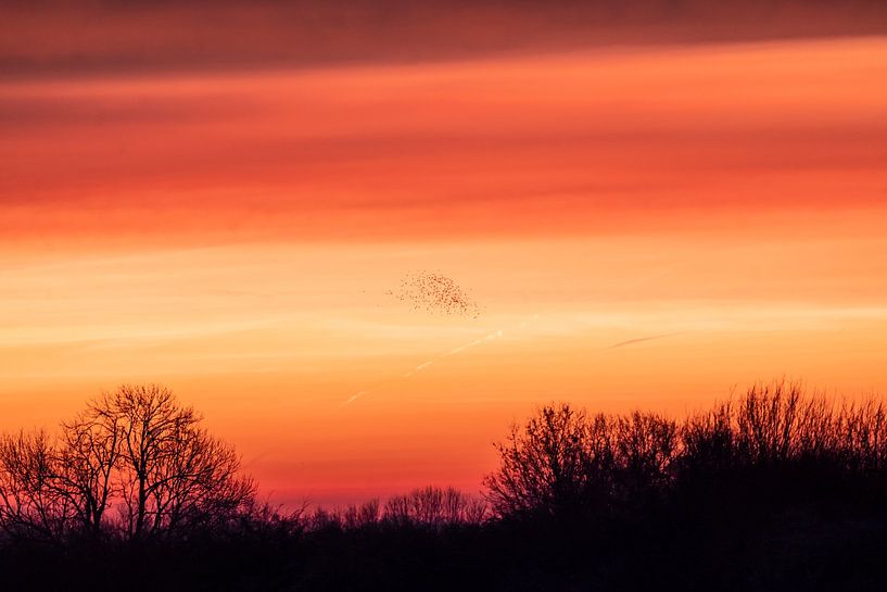 Sunrise by Cécile den Ouden