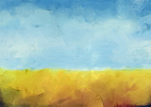 Un champ de blé d'automne sous un ciel bleu. 