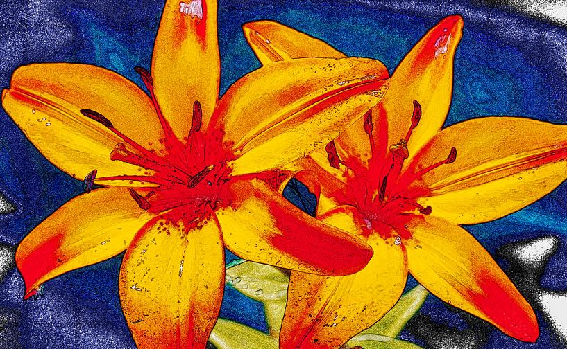Sketch of lilies, red, yellow and blue by Rietje Bulthuis