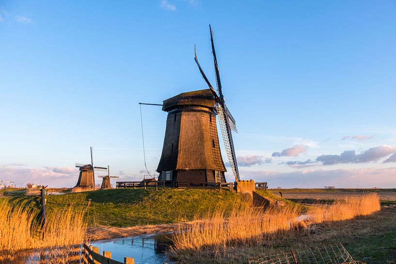 Molens in de winterzon von Joke Beers-Blom