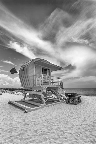 MIAMI BEACH Monochroom Florida Flair