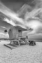 MIAMI BEACH Monochrome Florida Flair by Melanie Viola thumbnail