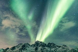 Nordlichter, Aurora Borealis über den Lofoten in Norwegen