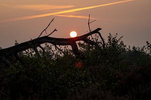 Zonsopkomst van Koos de Vries