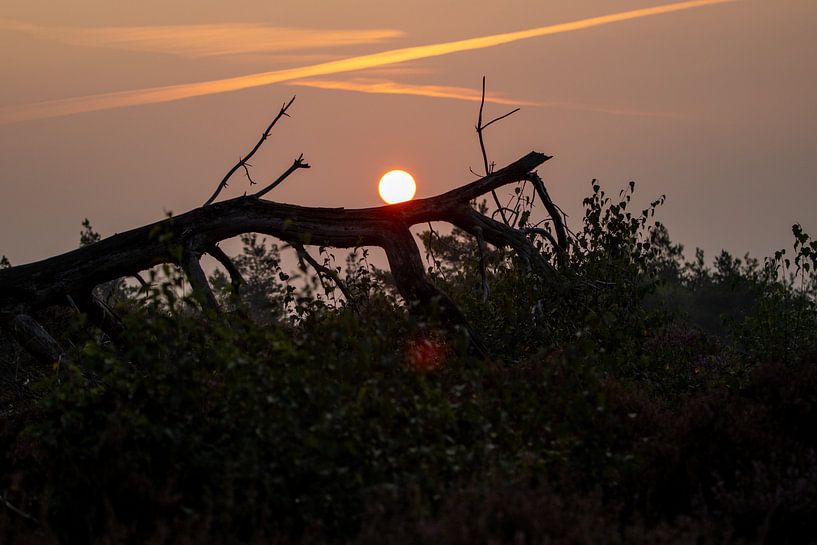 Zonsopkomst van Koos de Vries