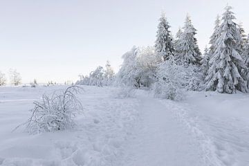 Winter landschap van Ingrid Van Damme fotografie