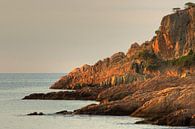 Küste der Costa Brava, in der Nähe von Sant Feliu de Guixols von Rens Kromhout Miniaturansicht