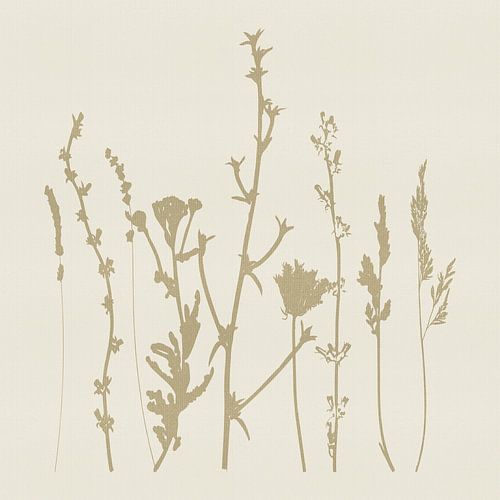 Eenvoudige botanische contouren in beige