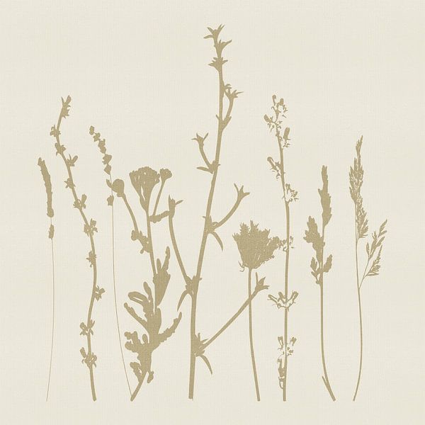 Einfache botanische Umrisse in Beige von Dina Dankers