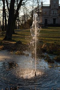 Springbrunnen und Bäume im Abendlicht 3